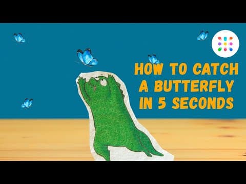 How to catch a butterfly in 5 seconds