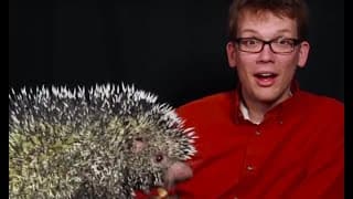 Is This the Cutest Animal Noise