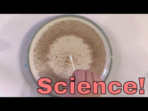Science Experiment - Matchstick Speedboat - Surface Tension of Water