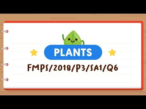 PSLE SCIENCE MADE SIMPLE EP51 | Plants | Understanding Flowcharts