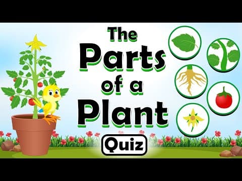Parts of a Plant Quiz for Kids | Fun Animated Plant Parts Revealing Their Functions!