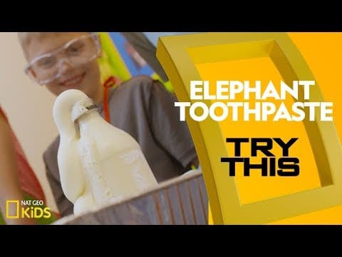 Elephant toothpaste