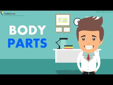 Body Parts for Kids l Learn Body Parts