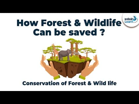 Conservation of Forest & Wild life | Don't Memorise