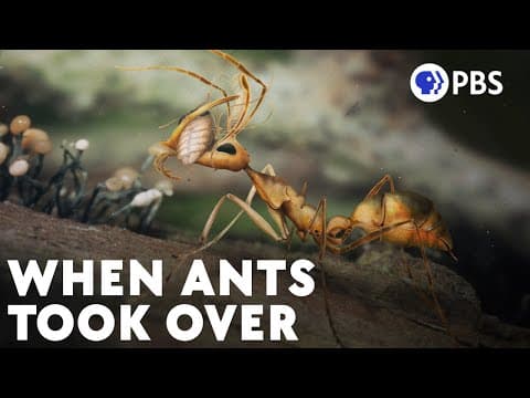 You're Living On An Ant Planet