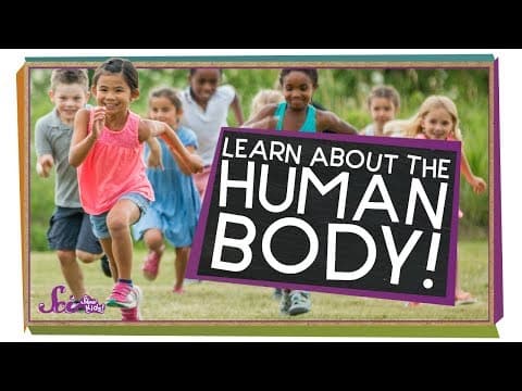 All About Your Body! | Human Body Compilation