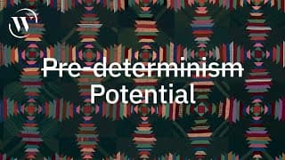 Human development has 5 key principles | here’s why they matter