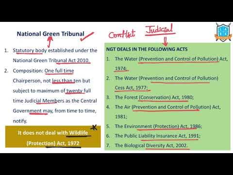 What is National Green Tribunal ? || National Green Tribunal అంటే ఏమిటి?