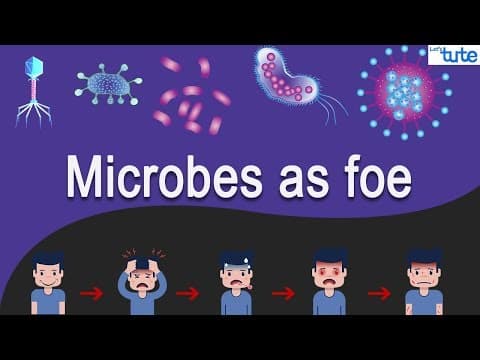 Micro-Organism and its Types | Science | Biology