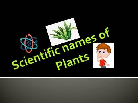 Scientific names of common Plants