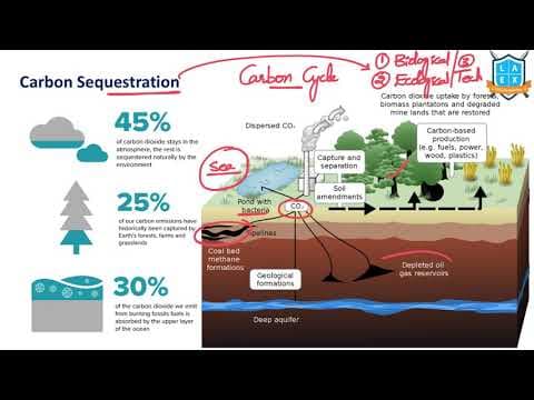 What is Carbon Sequestration ? || Carbon Sequestration అంటే ఏమిటి?