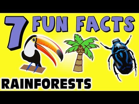 7 FUN FACTS ABOUT RAINFORESTS! RAINFOREST FACTS FOR KIDS! Learning Colors