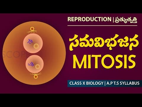 MITOSIS | Reproduction in Plants in Telugu & English