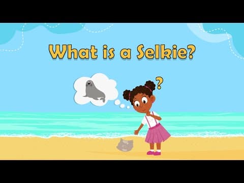 Selkies - What is a Selkie? - Magical creatures for kids - mythical creatures for kids
