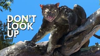 Thylacoleo | The Marsupial Lion of Australia