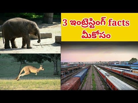 Intresting facts - 3 unknown facts - telugu education videos