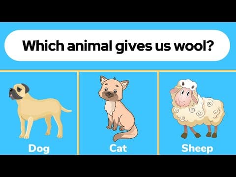 Logical Question Quiz | Image Questions With Answers | Logical Quiz for Kids