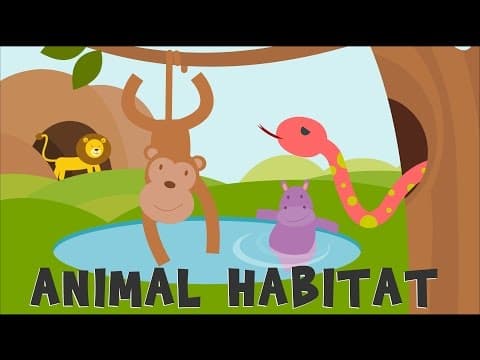 Animal habitats - animal homes - animals video for kids