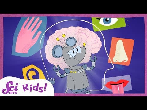 Your Body's Senses | SciShow Kids Compilation - YouTube