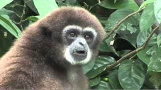 Needs of Living Things