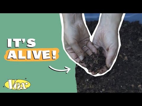 The Secret History of Dirt, a smart soil explainer for all ages