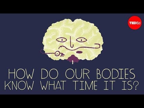 How does your body know what time it is? - Marco A. Sotomayor - YouTube