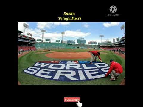 Cricket field లో ఈ యాడ్స్ ఎలా కనిపిస్తాయి?. how adds were made on cricket field?