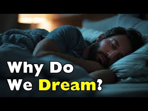 Why Do We Dream Every Night