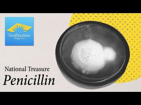 The Mighty Mold That Changed Medicine: The Story of Penicillin