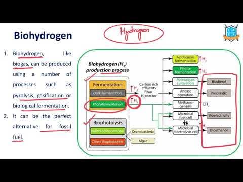 What is Bio-Hydrogen ? || Bio-Hydrogen అంటే ఏమిటి?