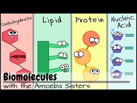 Biomolecules