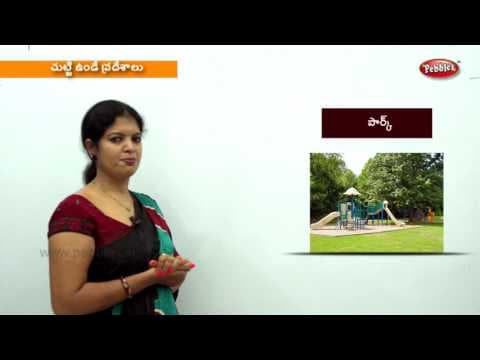 Around the city test for kids