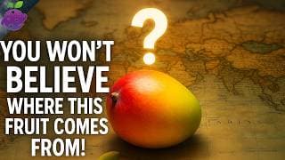 The Evolution of Fruits|From Wild to What is in Your Fridge