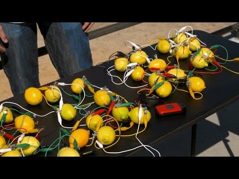 Would You Believe That You Can Charge a Phone with Lemons
