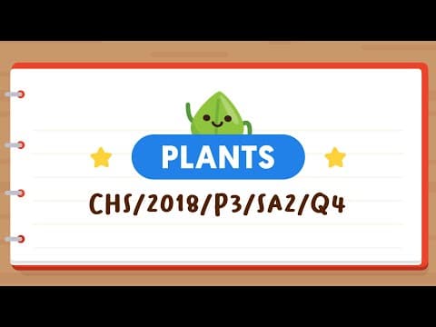 PSLE SCIENCE MADE SIMPLE EP68 | Plants | Help To Classify These Plants Based On This Flowchart!