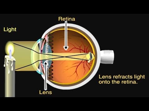 How the eye works animation - how do we see video - nearsighted and farsighted human eye anatomy