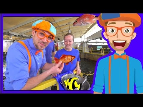 Learn About Fish for Children with Blippi-Educational Videos for Kids