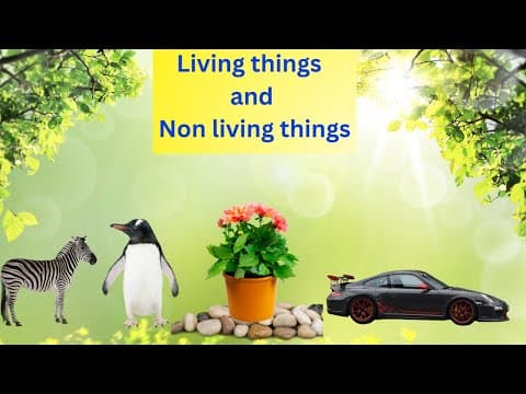 Science Learning : Living Things And Non Living Things !!!