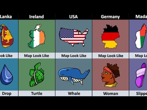 Countries Map That Looks Like Picture