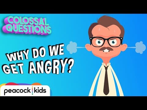Why Do We Get Angry? | COLOSSAL QUESTIONS