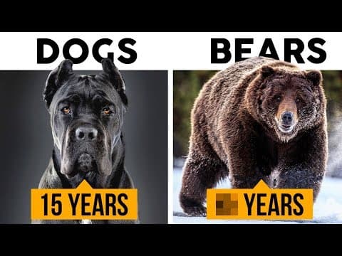 How long do these animals live