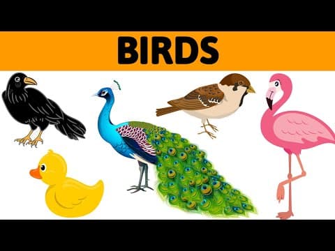 Birds name in English | Birds name |Birds names | Name of birds | Birds names in english