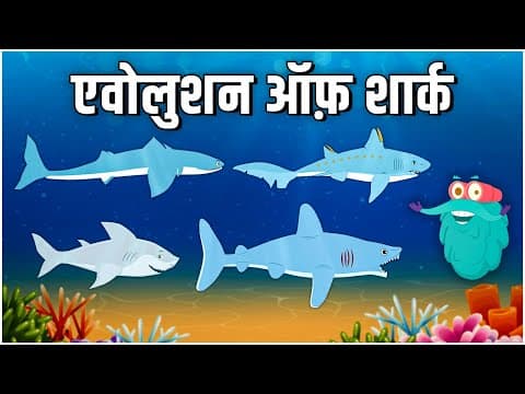 एवोलुशन ऑफ़ शार्क - Evolution Of Sharks