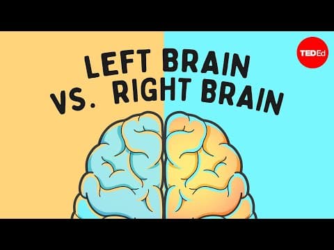 The left brain vs. right brain myth - Elizabeth Waters - YouTube