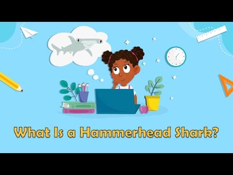 What Is a Hammerhead Shark? - Shark Facts - Animal Facts For Kids - Shark Facts For Kids