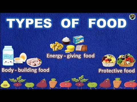 Different Types of Food - Good Eating Habits