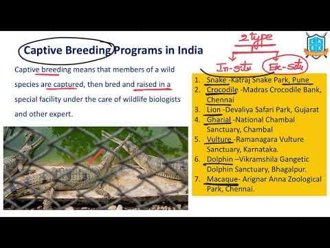 What are Captive Breeding Programs India ? || Captive Breeding Programsఅంటే ఏమిటి?