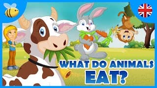 What do Carnivores Herbivores and Omnivores Animals Eat  Kids Videos