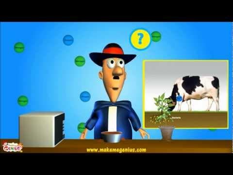 Nitrogen Cycle ,Nitrogen Fixation - Explanation in animation