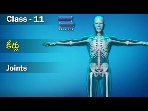 కీళ్ళు – Joints | Locomotion and Movement | Biology Telugu